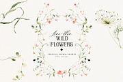 Line-thin watercolor wildflowers, a Decorative Illustration by Pamyatka Shop (Thumbnail 11 of 16)