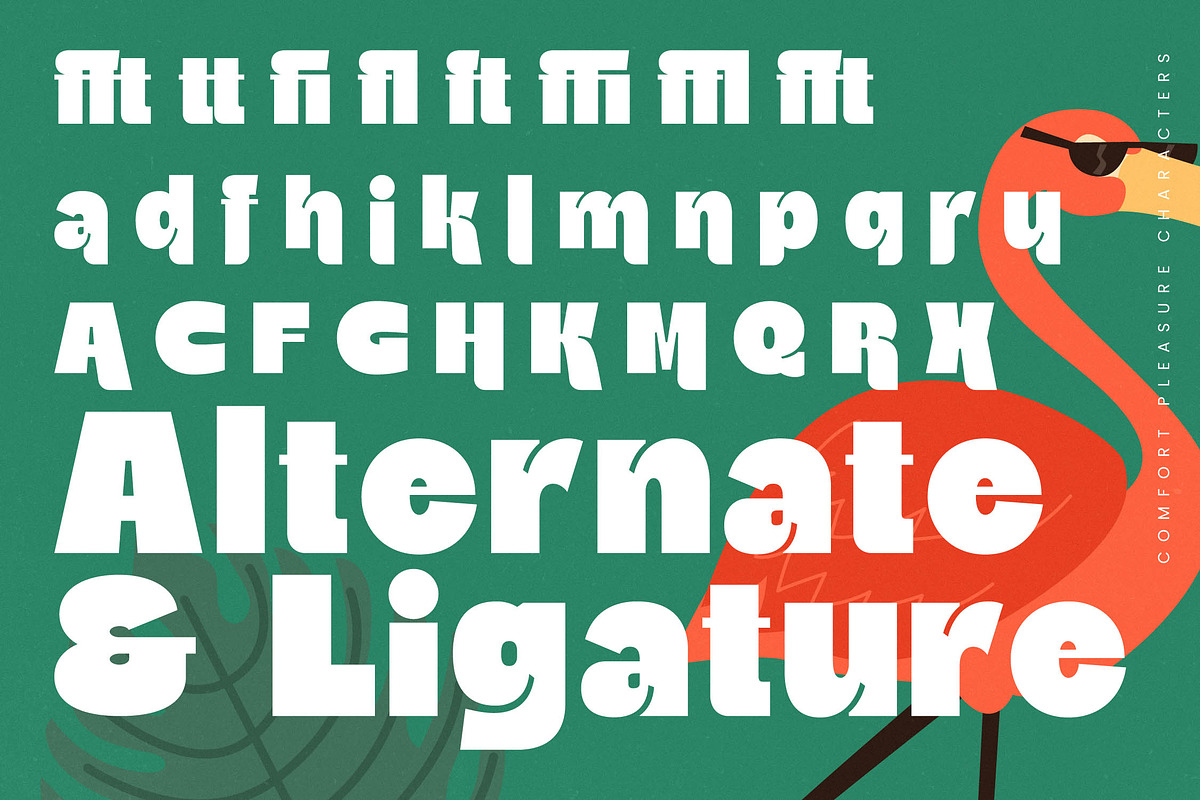 Comfort Pleasure Display Font, a Serif Font by timelesstype.co (Photo 18 of 20)