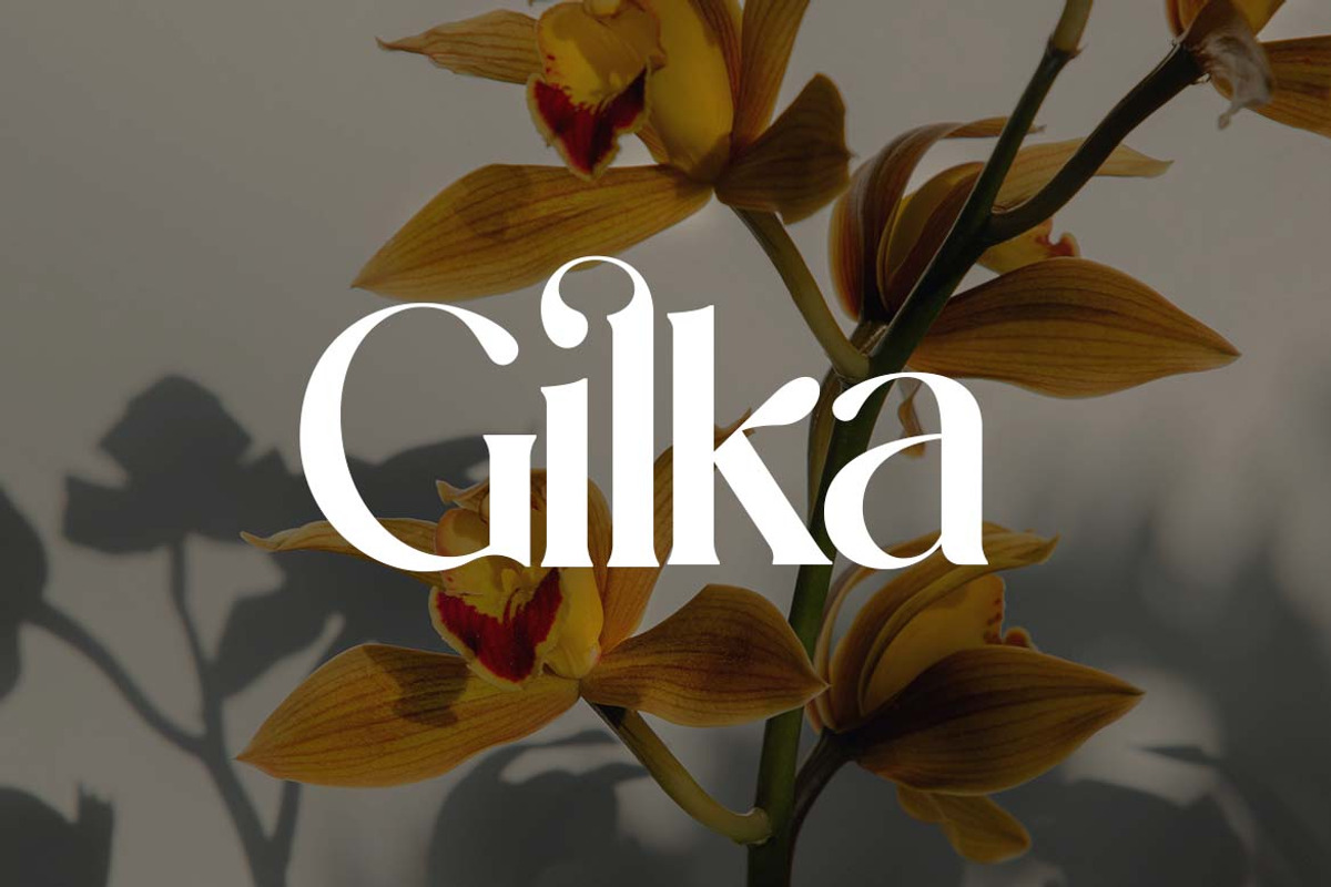 Kingsley Luminox Luxury Serif Font, a Serif Font by UICreative (Photo 12 of 13)
