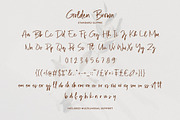 Silver Brown Casual Script Font, a Script Font by Heinzel Std (Thumbnail 10 of 11)