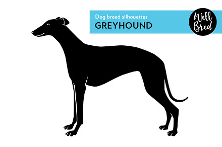 Greyhound Vector Silhouette