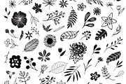 300 Hand Drawn Florals, an Illustration by Designdell (Thumbnail 2 of 7)
