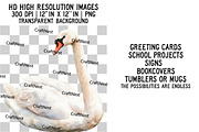 Cute Birds Clipart, an Illustration by Craft Nest (Thumbnail 2 of 6)