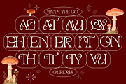 TAN - CURIOUS, a Serif Font by TanType (Thumbnail 11 of 11)