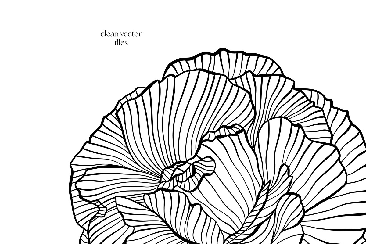 Whimsical Flowers Collection, a Decorative Illustration by ilonitta (Photo 11 of 12)