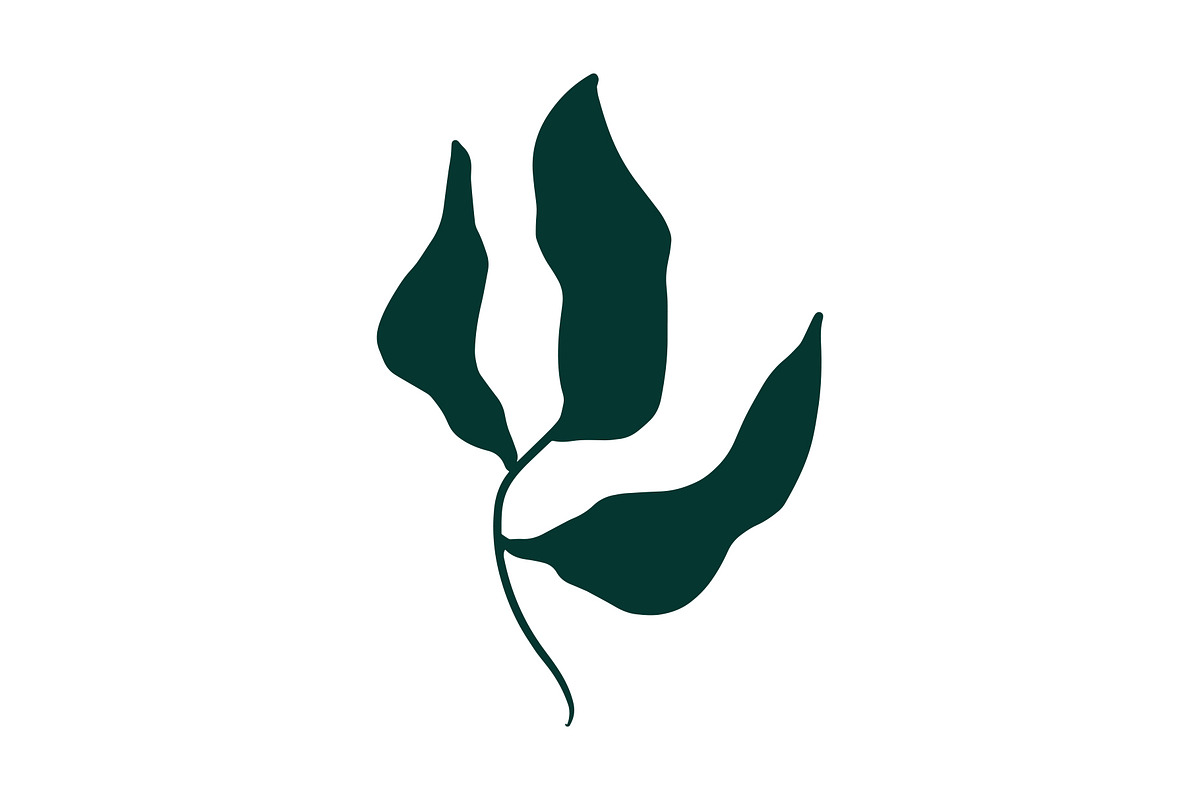 Vector Seaweed Graphics, a Background Graphic by Dorey Kronick Art&Design (Photo 9 of 9)