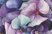 Watercolor violet Hydrangea painting, an Illustration by Khrys.art (Thumbnail 5 of 8)