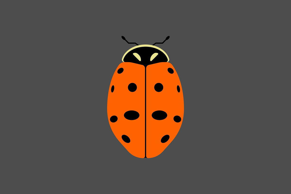 Seven Spot Ladybug Insect, a Solid Icon by Buqancreative (Photo 2 of 2)