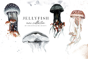 Jellyfish Watercolor mini Collection