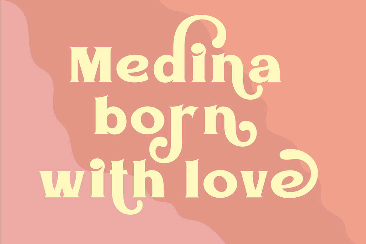 VT Medin - Elegant Bold Serif, a Serif Font by ViactionType (Photo 4 of 13)