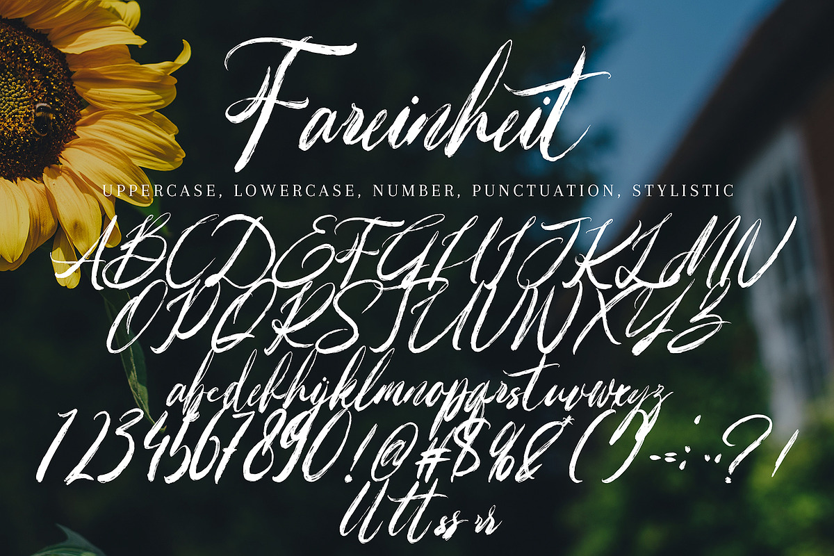 Fareinheit, a Handwritten Font by pineungtype (Photo 4 of 6)