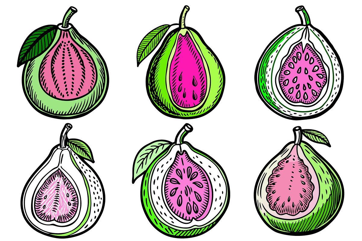 guava fruits with pink flesh, an Object Graphic by Billah Hub