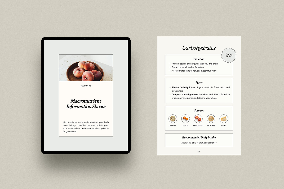 Nutrition Coach Workbook, a Magazine Template by Willoe Studio (Photo 5 of 14)