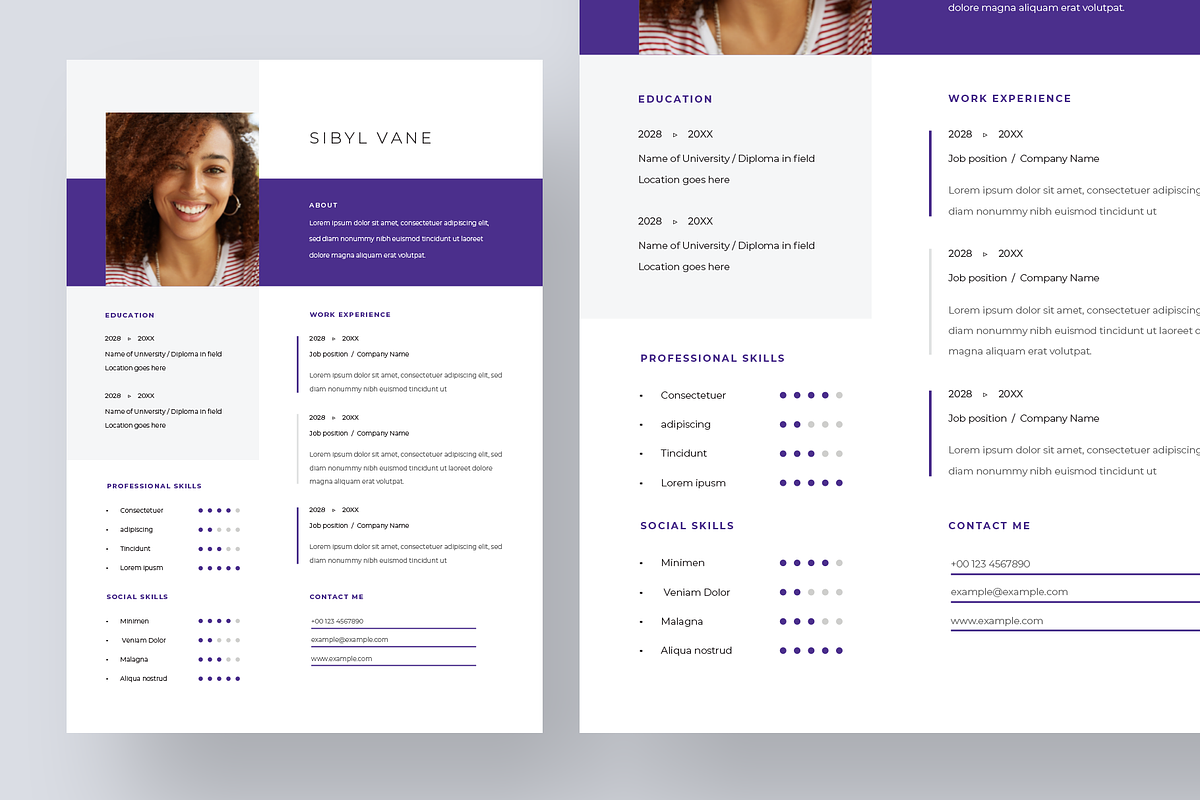 Professional Level Resume Template, a Resume Template by Filip Studio