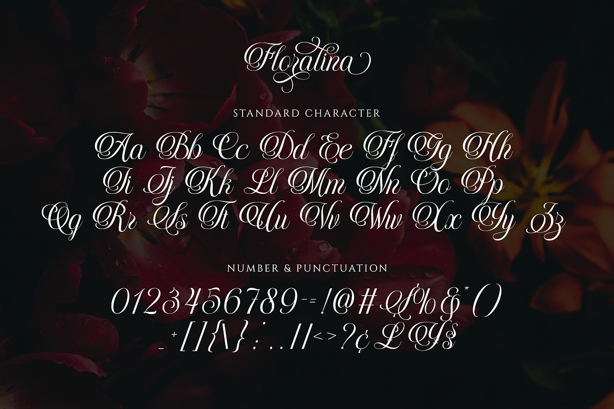Floralina - Modern Cursive Script, a Script Font by Pixesia Studio (Photo 12 of 12)