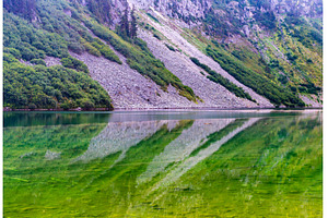Mirror image reflection of Rainy, a Nature Photo by Backyard Stock