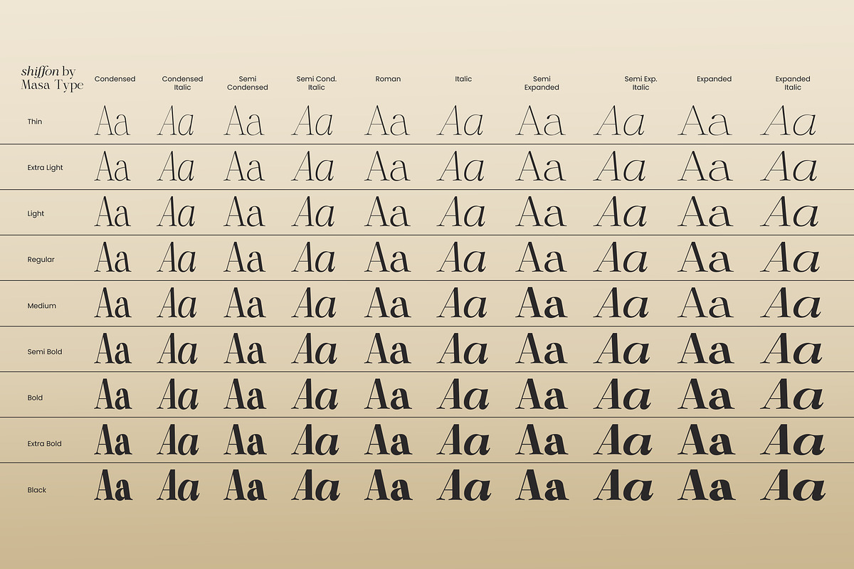 Shiffont Serif, a Serif Font by MasaType (Photo 11 of 12)