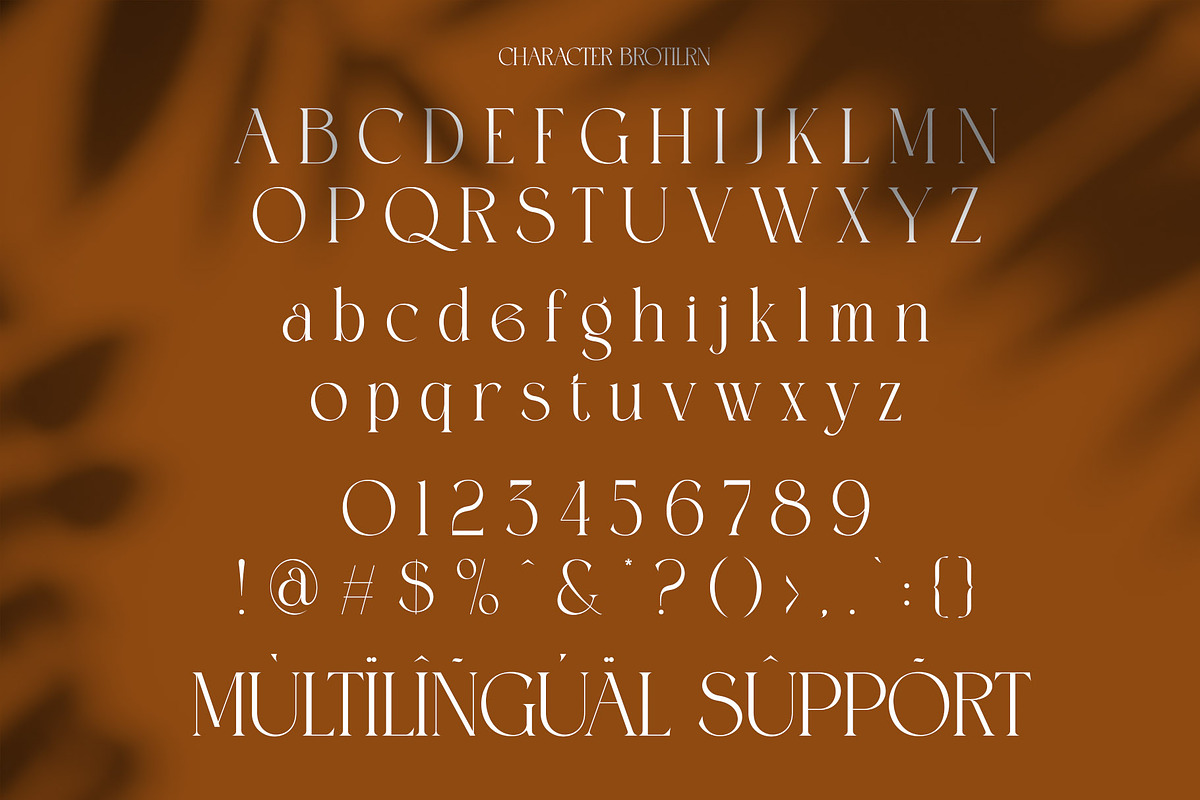 Brotilen Elegant Ligature Serif, a Serif Font by Alfinart (Photo 9 of 10)