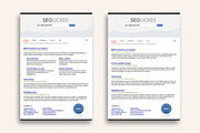 Flyer SEO and Digital Marketing, a Flyer Template by Sargatal (Thumbnail 2 of 5)