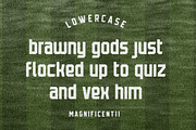 Magnificent11 Sans Serif Fonts, a Sans Serif Font by Alphabet Agency (Thumbnail 3 of 9)