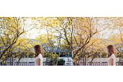 Kamin Japan Mood 1, an Action Add-On by Kamin Lightroom Preset (Thumbnail 7 of 22)