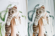 Mobile Lightroom Presets, an Action Add-On by The Red Pine (Thumbnail 2 of 5)