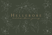 Illustrated Florals for Weddings, an Illustration by Blushed Design by Katrina (Thumbnail 6 of 6)