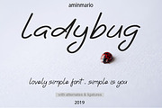 Ladybug, a Sans Serif Font by AMINMARIO (Thumbnail 9 of 9)