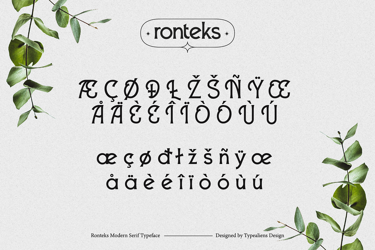 Ronteks, a Serif Font by ilhamtaro (Photo 11 of 12)