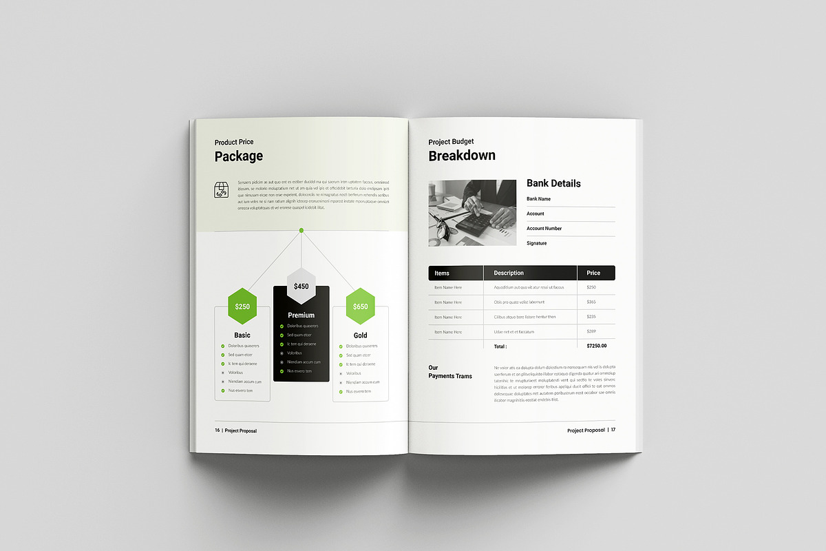 Proposal Template | InDesign + Canva, a Brochure Template by Spark_Creative (Photo 9 of 14)