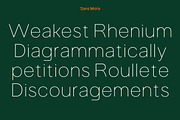 Sans Mora, a Sans Serif Font by Portion.Labs (Thumbnail 6 of 14)