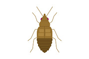 Brown Bed Bug Insect, a Solid Icon by Buqancreative (Thumbnail 1 of 2)