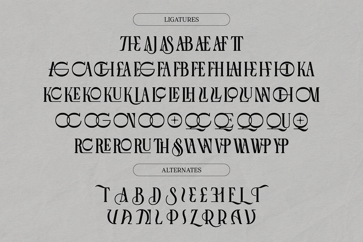 The Villas Luxury Display Serif, a Serif Font by Nollev (Photo 10 of 11)