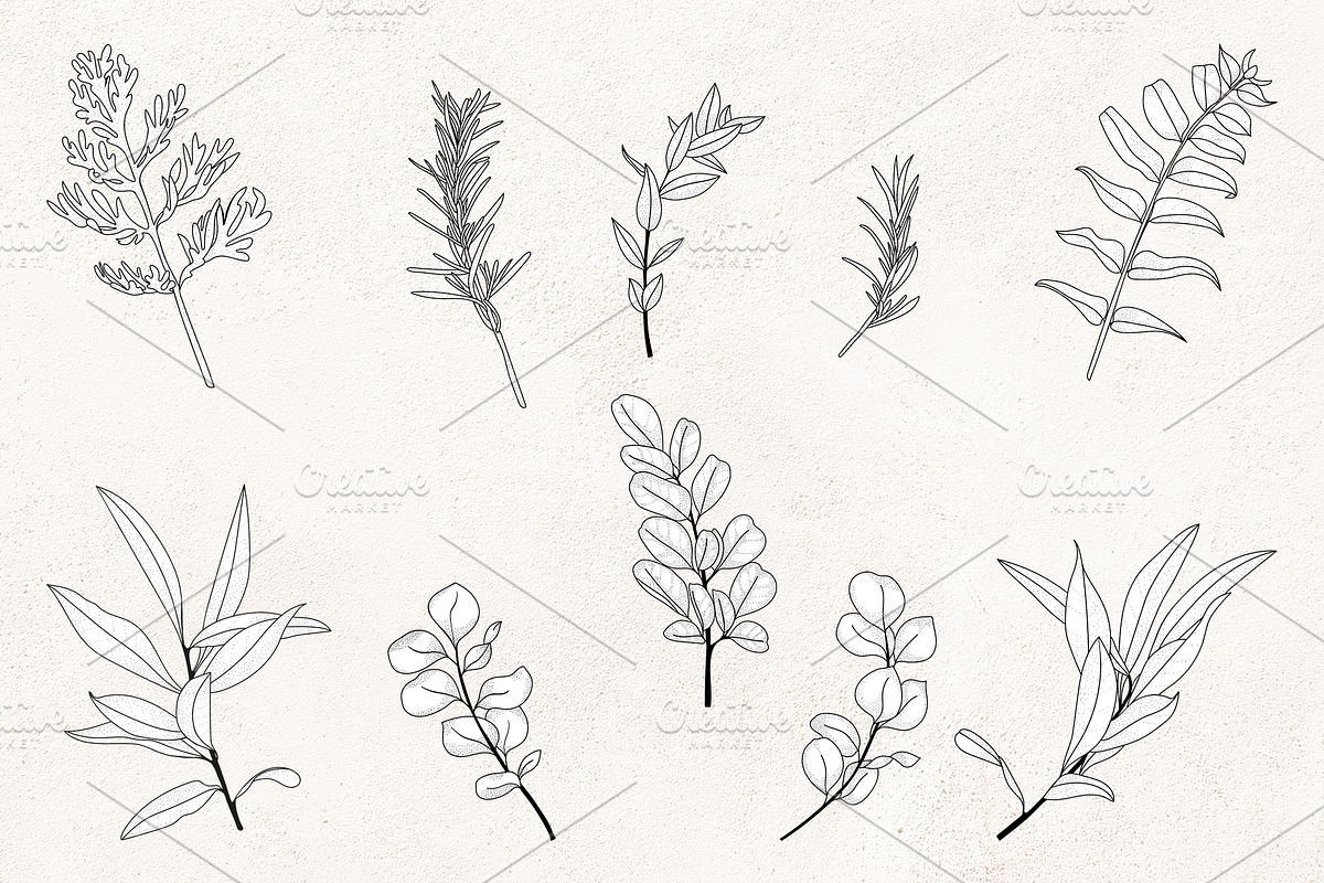 Floral Line Art SVG Botanical Frames, an Illustration by PawGraphic (Photo 3 of 10)