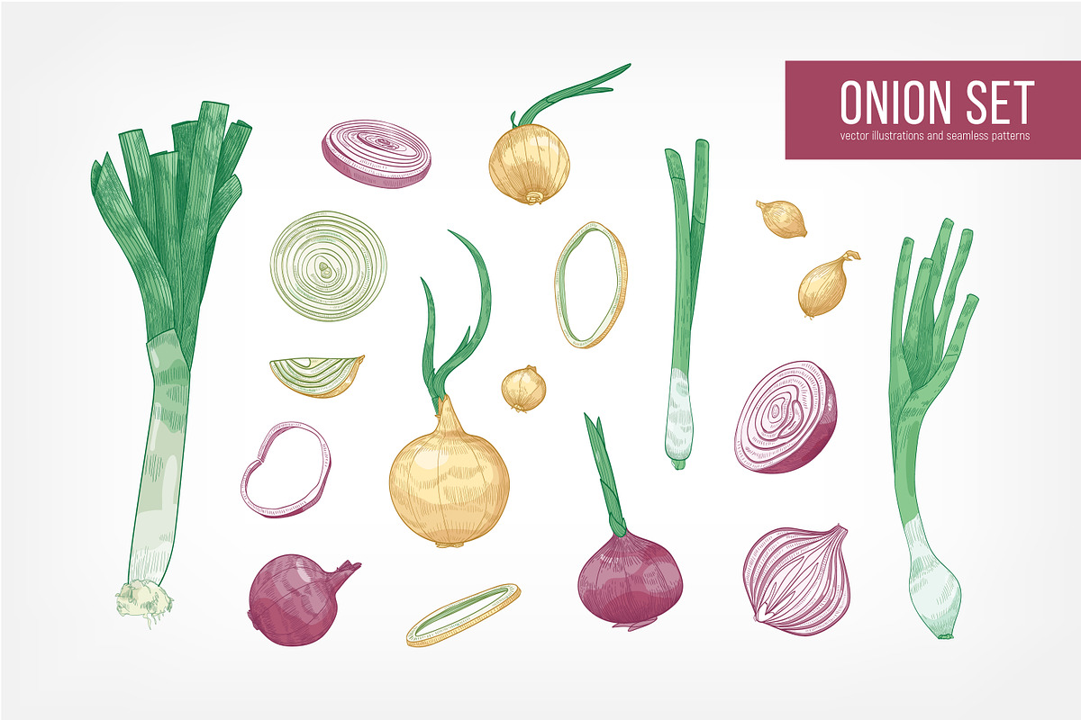 Onion set and seamless pattern, a Food Illustration by Good Studio (Photo 1 of 7)