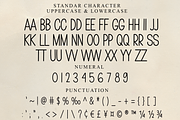 Runtime, a Sans Serif Font by FreshTypeINK (Thumbnail 7 of 8)