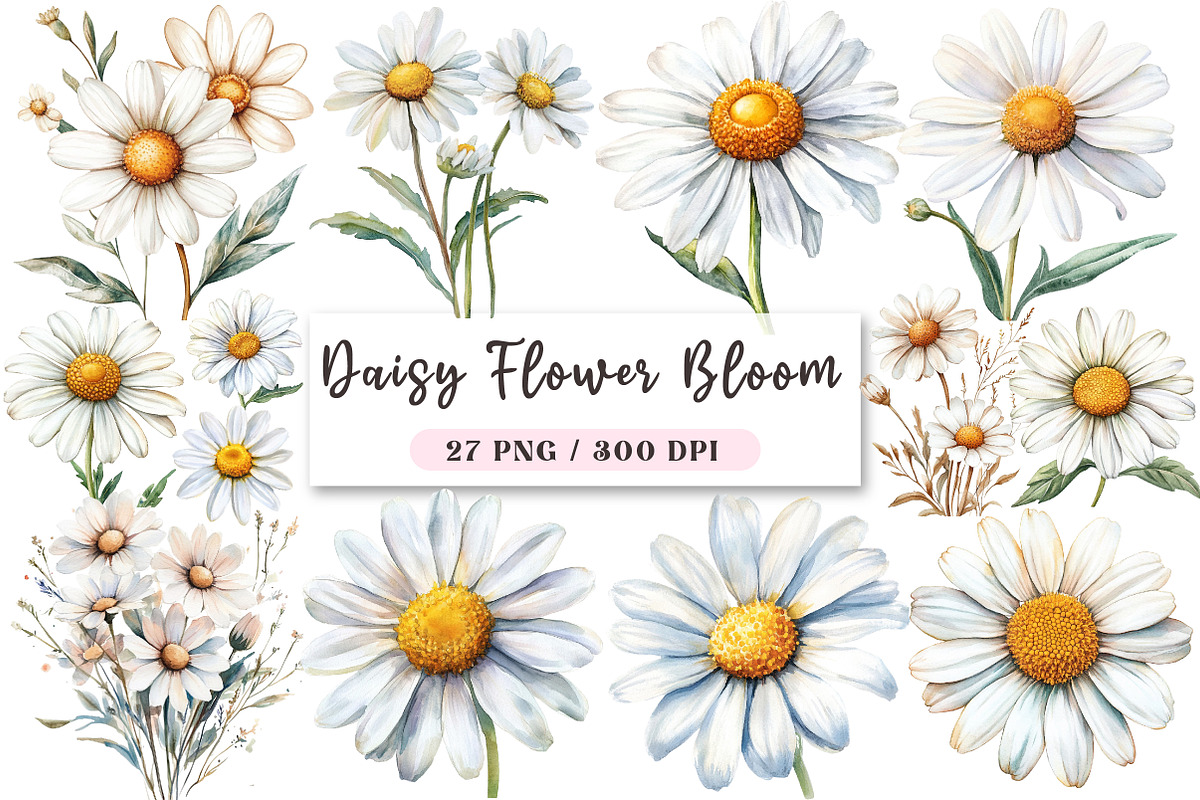 Daisy Flower Bloom Clipart, an Illustration by DreamArtGraphic (Photo 1 of 4)