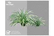 63 Assorted Plants Photo Overlays, a Nature Photo by KenScape (Thumbnail 2 of 3)