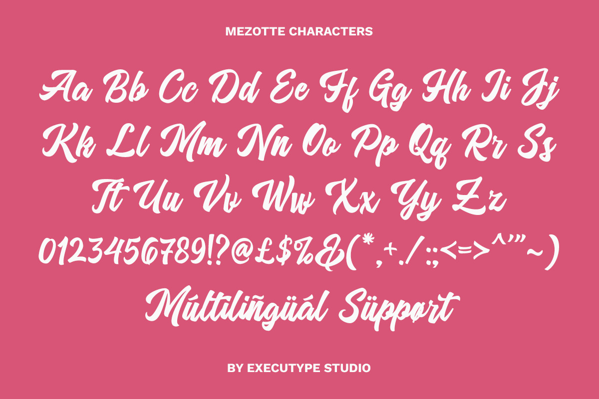 Mezotte - Bold Script Logotype, a Script Font by executypeStudio (Photo 8 of 10)