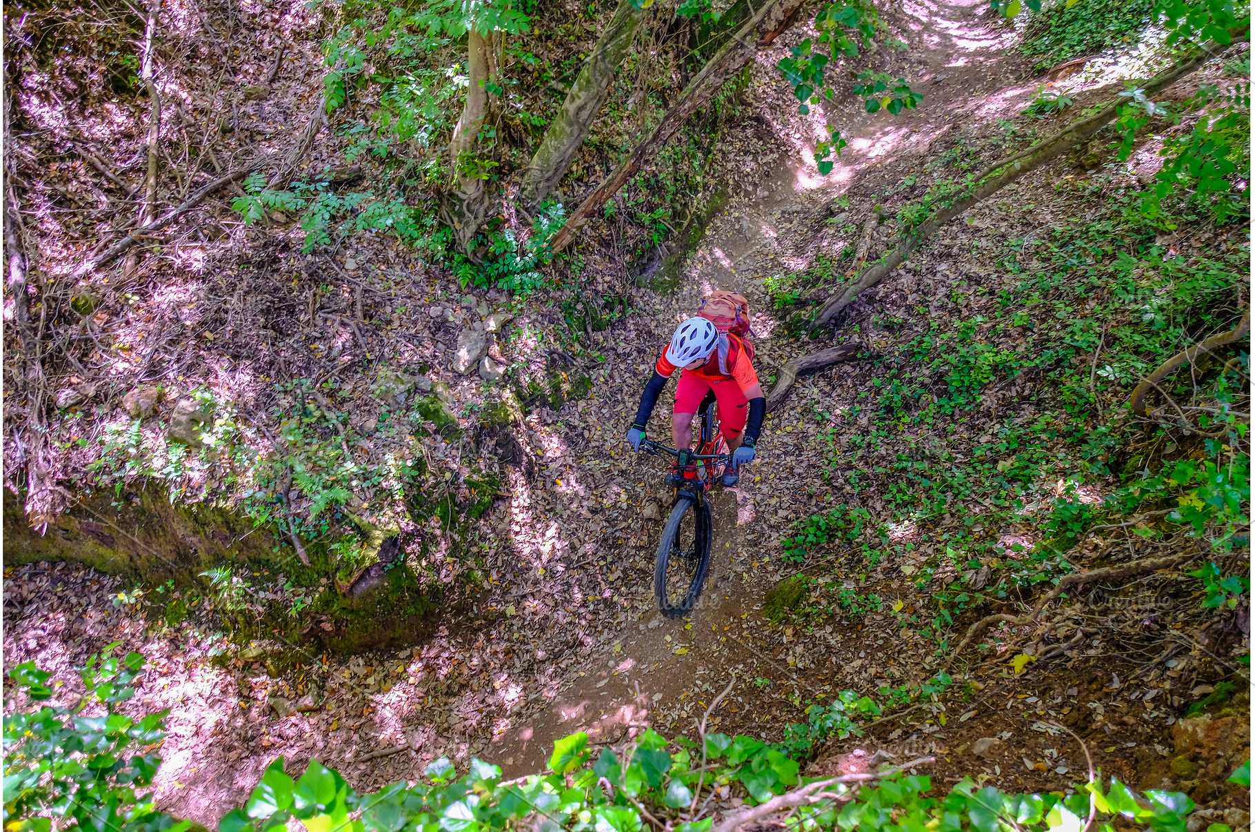 Unrecognisable mountain biker rides, a Sports & Recreation Photo by reisegraf.ch