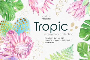 Tropic protea, watercolor clip art