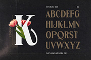 Garmole - Elegant Serif Font, a Serif Font by Hole Hope Design (Thumbnail 4 of 10)