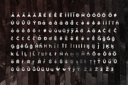 Etna Sans Serif Typeface, a Sans Serif Font by Wild Ones (Thumbnail 8 of 9)