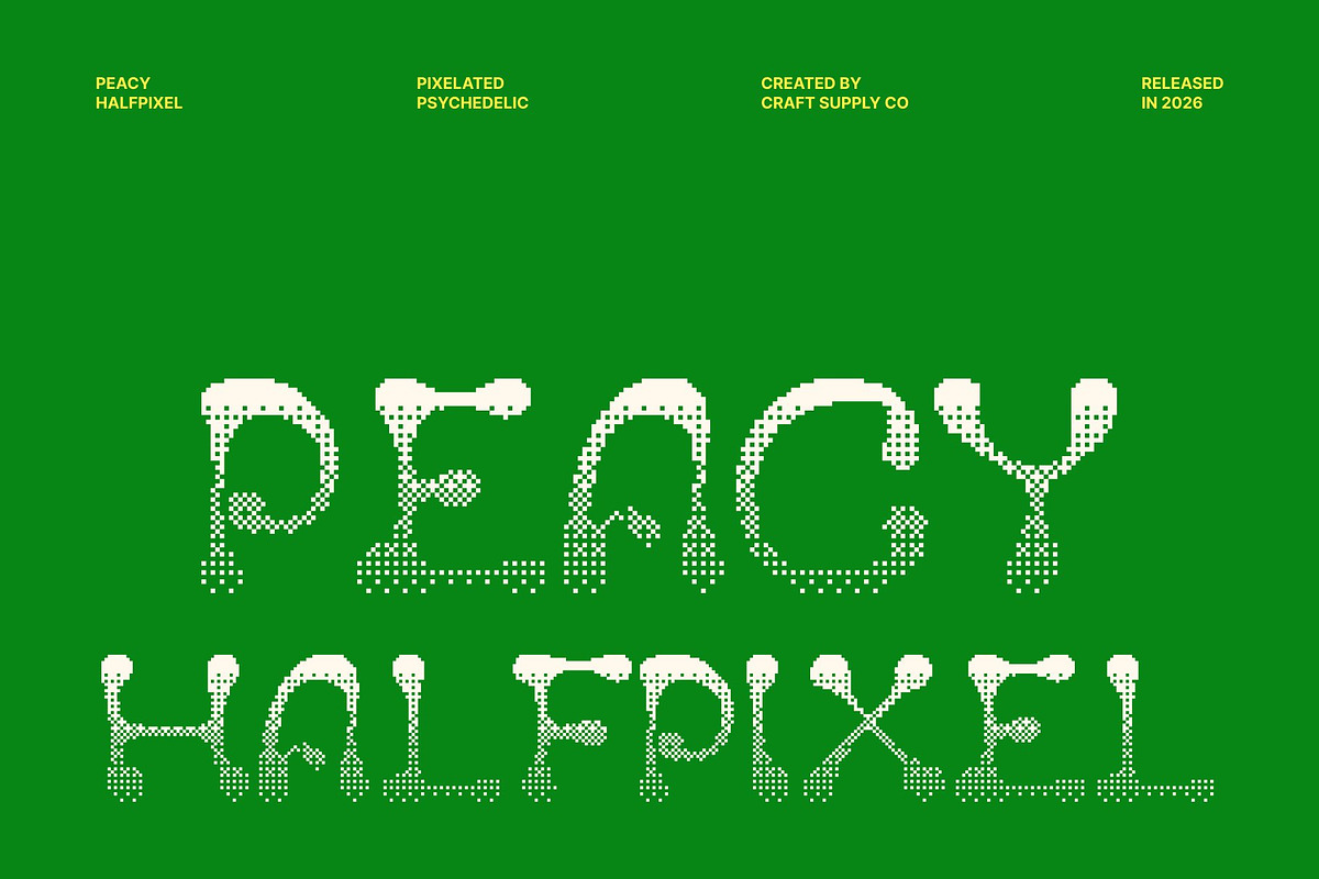 Peacy Halfpixel, a Serif Font by Craft Supply Co. (Photo 1 of 8)