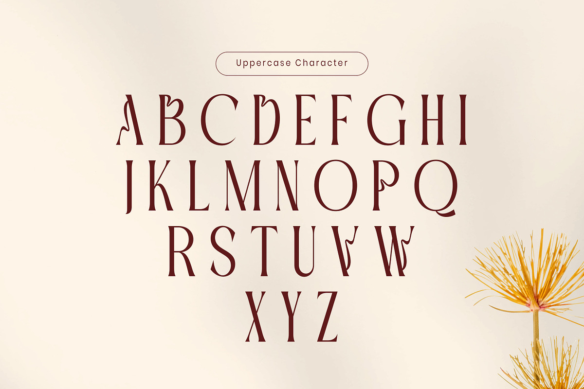 Woaster - Luxury Display Font, a Serif Font by Flawless And Co (Photo 10 of 10)