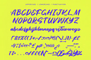 Dhaily Cluter - Bold Brush Font, a Script Font by Letterena Studios Script (Thumbnail 13 of 15)