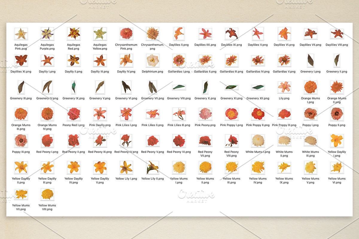 Retro Perennial Vintage Floral PNGs, an Object Graphic by Ashley Alexandra Design (Photo 9 of 9)