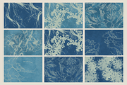 Ocean Shots hand drawn backgrounds, a Background Graphic by DigARTbyHavroshka (Thumbnail 6 of 10)