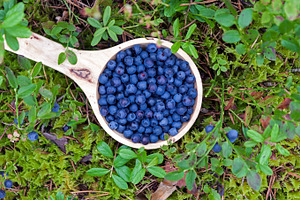 Wooden bowl of blueberries, a Food & Drink Photo by BOOCYS