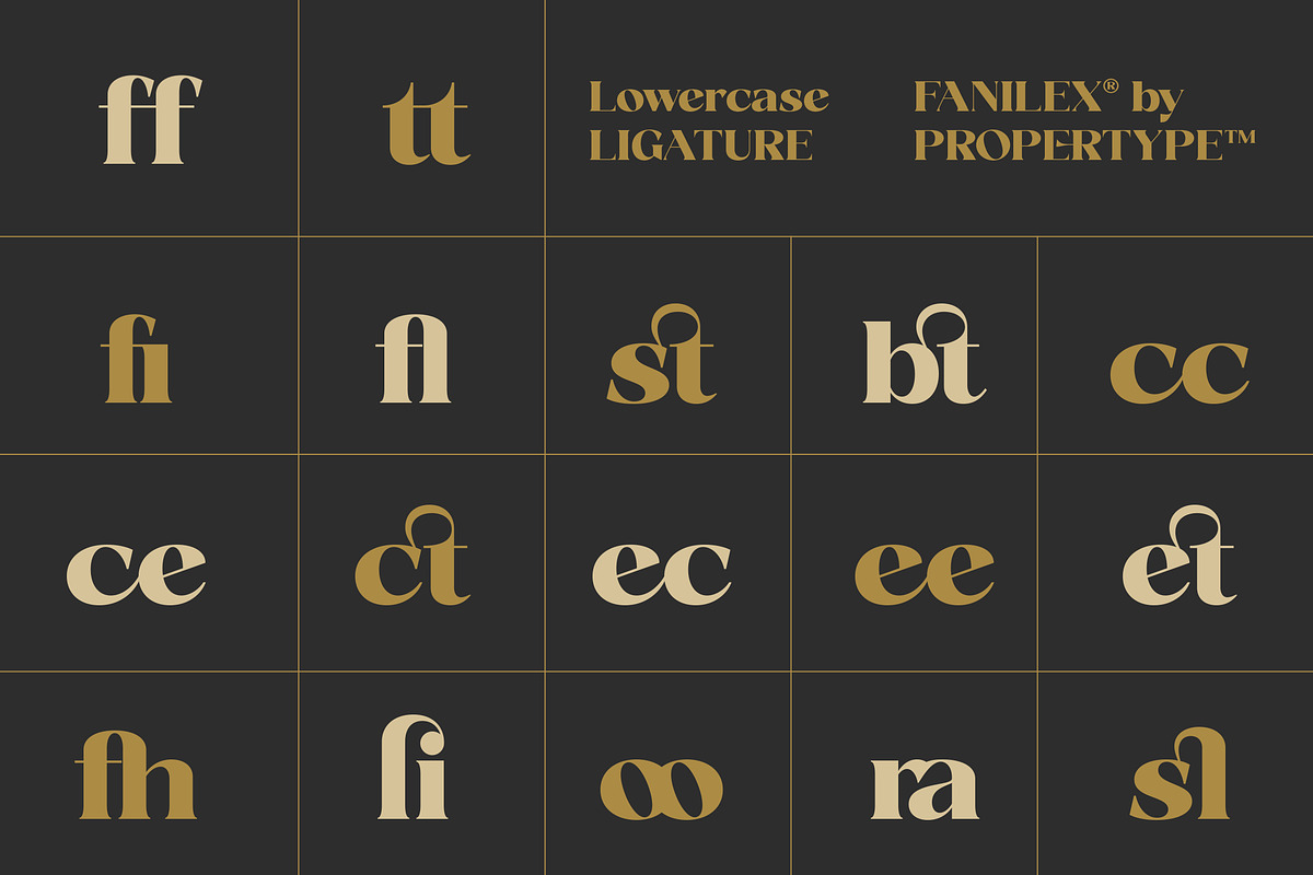 Fanilex, a Serif Font by Propertype (Photo 13 of 16)